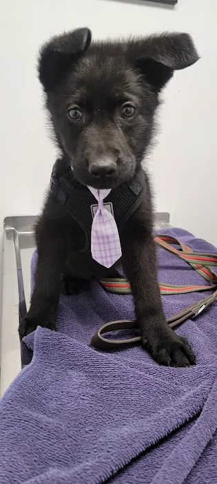 Anthony Animal Clinic Picture 7