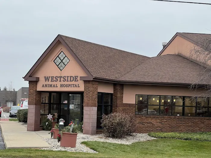 Westside Animal Hospital Picture 9