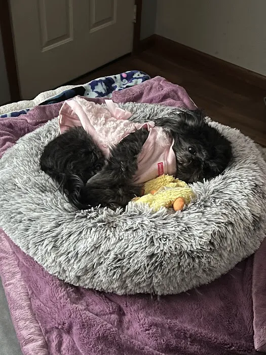 Westside Animal Hospital Picture 7
