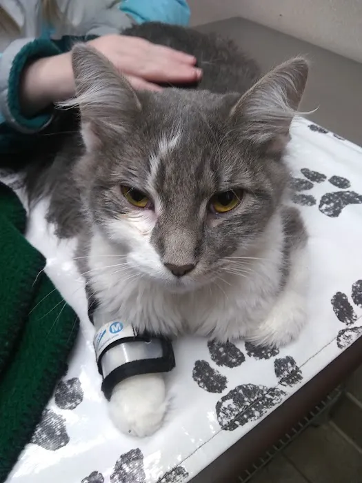 Banfield Pet Hospital Picture 2