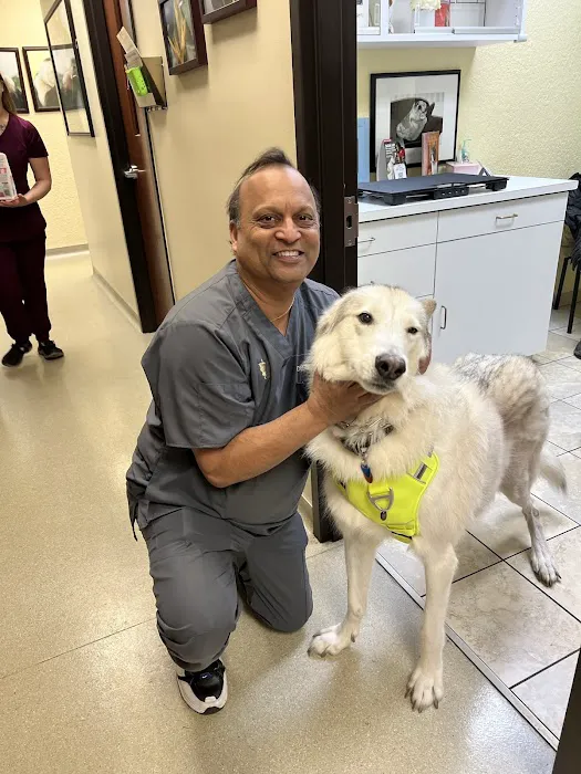 Aboite Animal Clinic & House Call Practice Picture 5