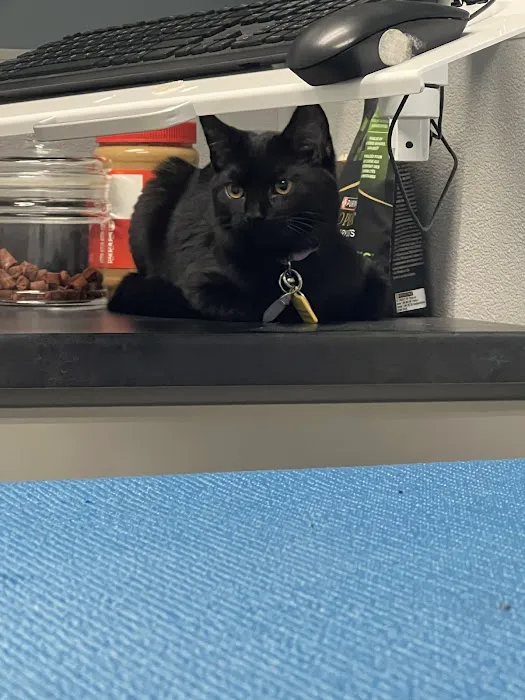 Covington Veterinary Hospital, Inc Picture 2