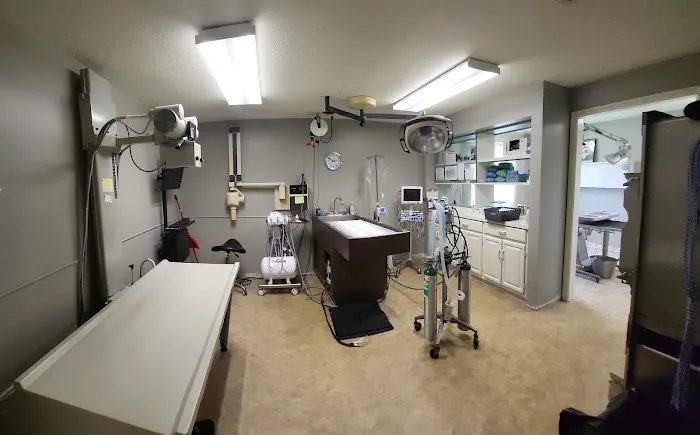 Covington Veterinary Hospital, Inc Picture 6