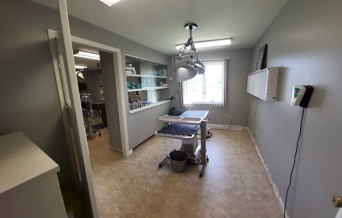 Covington Veterinary Hospital, Inc Picture 5