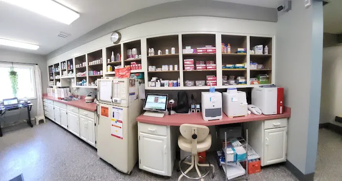 Covington Veterinary Hospital, Inc Picture 7