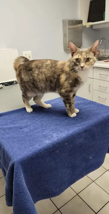 Aboite Animal Hospital at Illinois Road Picture 6