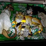 Waynedale Animal Clinic