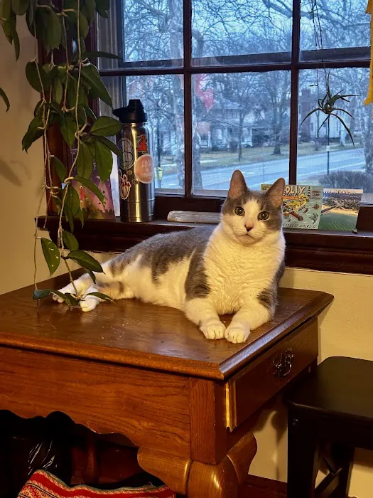 Waynedale Animal Clinic Picture 6