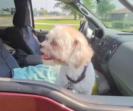 Auburn Hills Animal Hospital