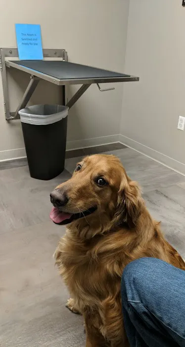All Paws & Claws Veterinary Clinic Picture 8