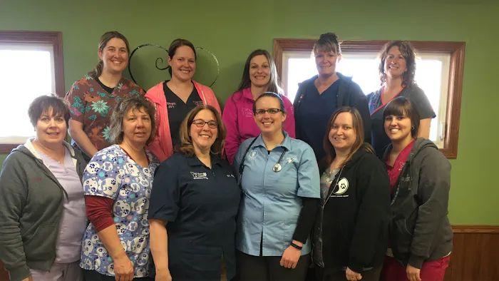 All Paws & Claws Veterinary Clinic Picture 10
