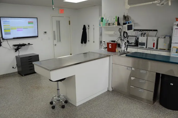 Beechwood Veterinary Clinic Picture 2