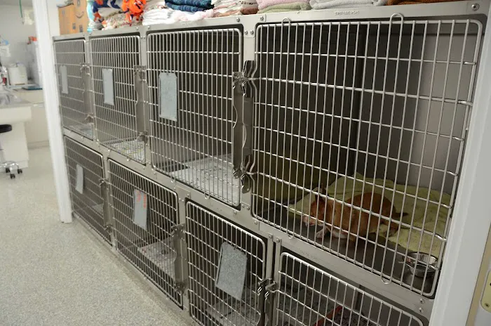 Beechwood Veterinary Clinic Picture 5