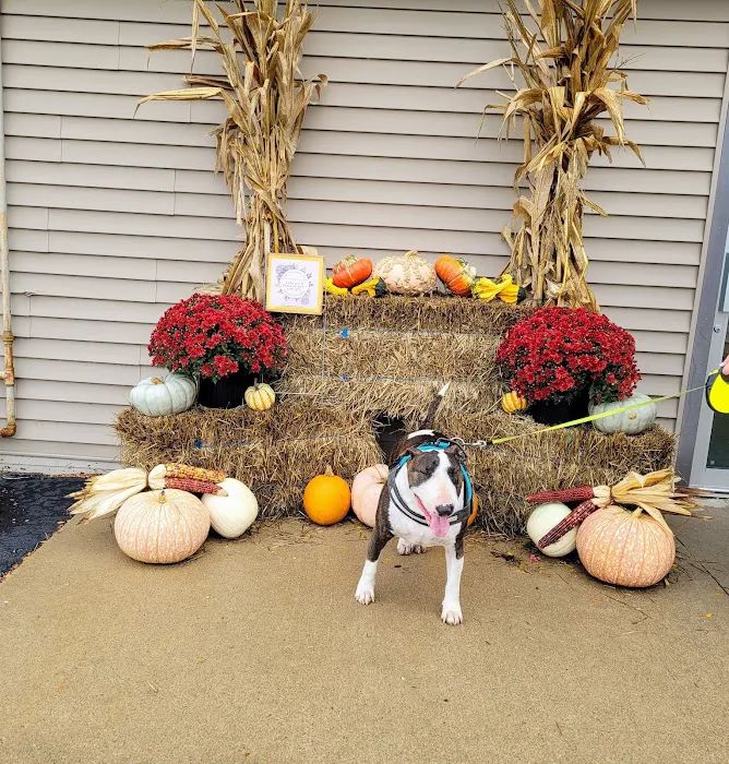Kelly Veterinary Clinic Picture 5