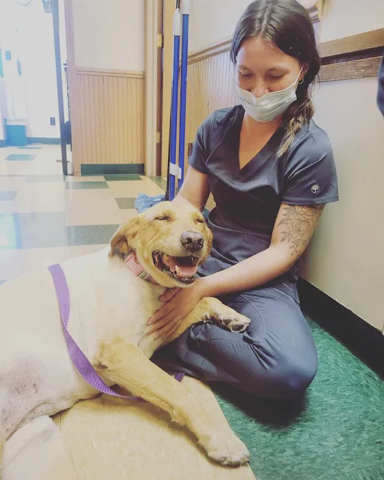 Kelly Veterinary Clinic Picture 3