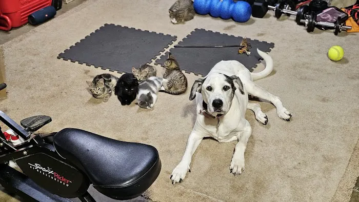 Kelly Veterinary Clinic Picture 1