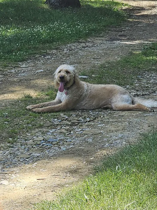 Adrian Animal Clinic Picture 8