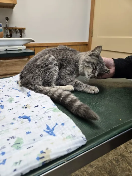 Adrian Animal Clinic Picture 6