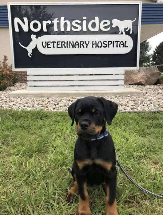 Northside Veterinary Hospital Picture 8