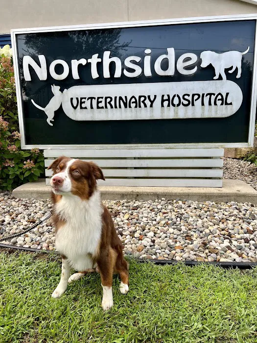 Northside Veterinary Hospital Picture 10