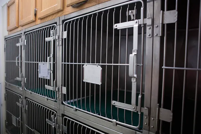 Care Center Hospital for Animals Picture 3