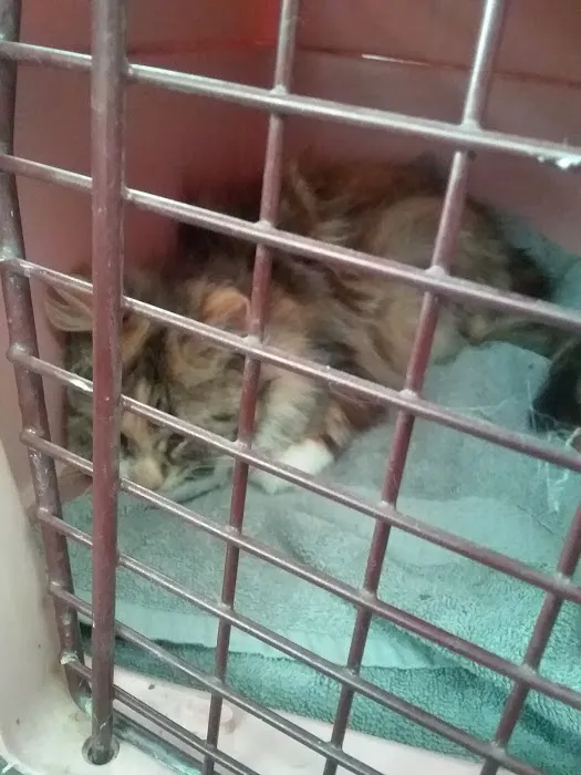 Riverside Veterinary Clinic Picture 5