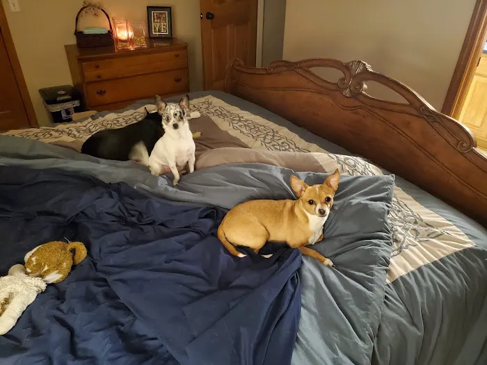 Indian Creek Veterinary Hospital Picture 5