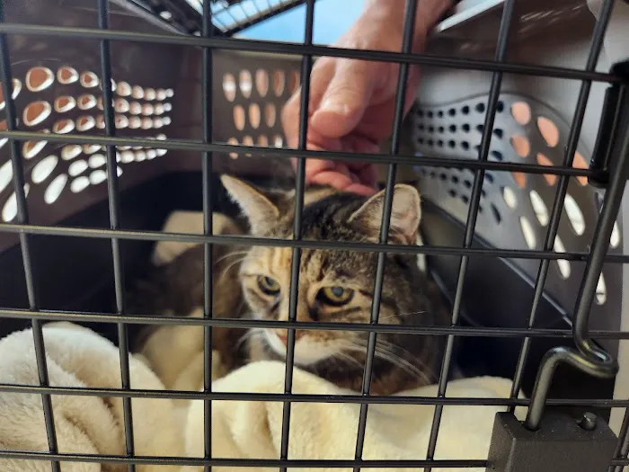 Indian Creek Veterinary Hospital Picture 7