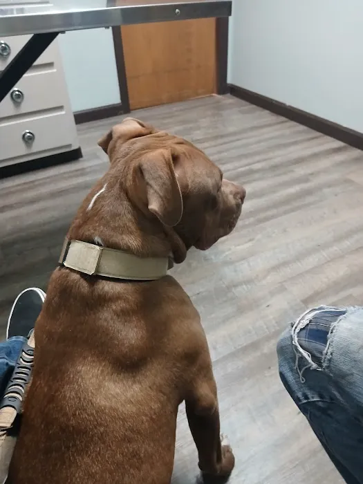 Hometown Animal Hospital Picture 8