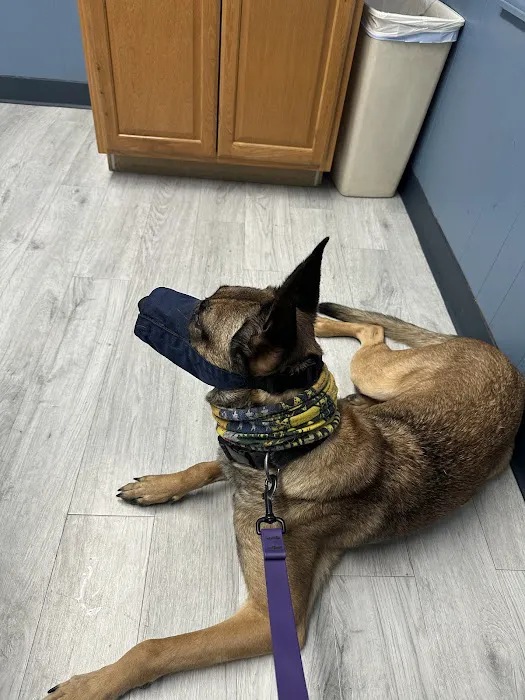 Southway Animal Hospital Picture 8