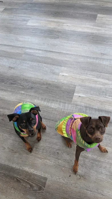 Southeastern Pet Vacc Picture 5