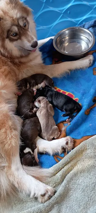 Banfield Pet Hospital Picture 3