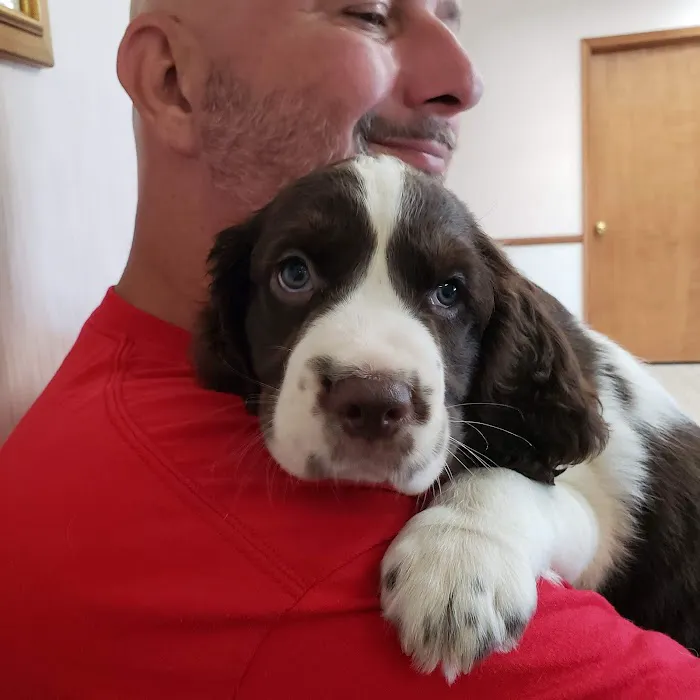 Stringer Animal Hospital North Picture 2