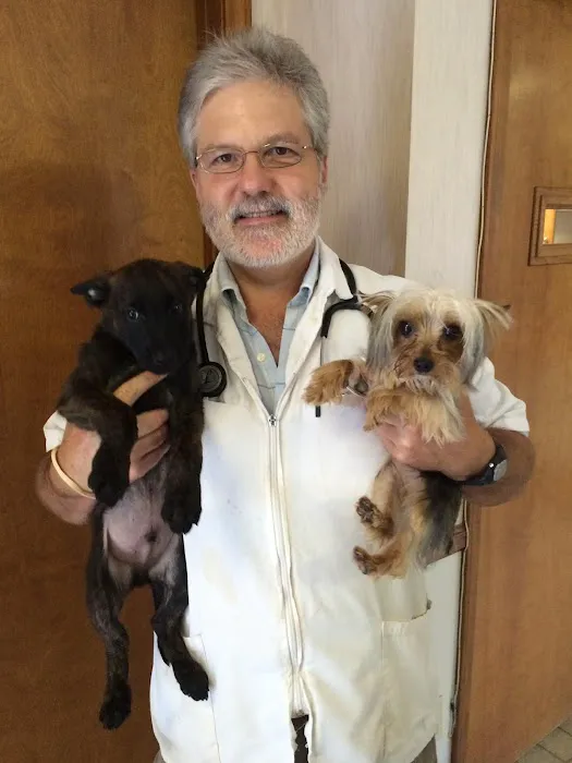 Stringer Animal Hospital North Picture 9