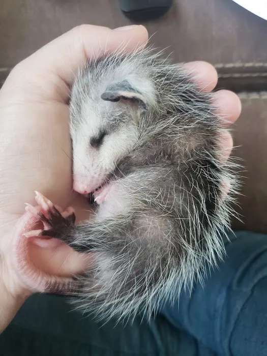 Electric City Animal Clinic Picture 5