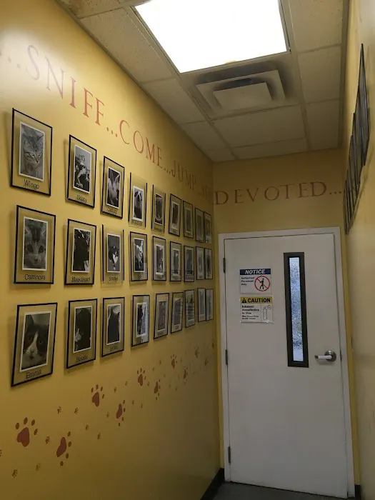 Electric City Animal Clinic Picture 8