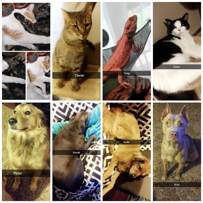 Sandy Springs Veterinary Clinic Picture 3
