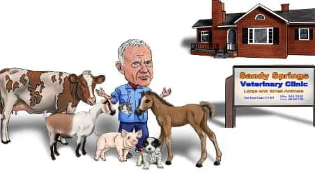 Sandy Springs Veterinary Clinic Picture 5