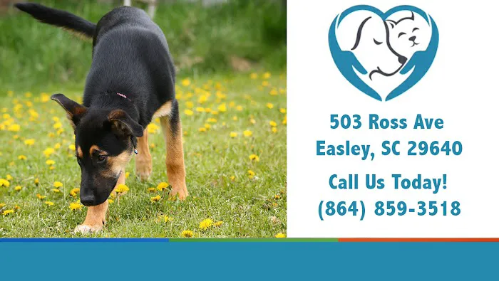 Easley Animal Hospital Picture 1