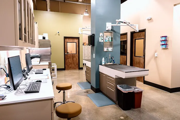 Southern Trail Animal Clinic Picture 7