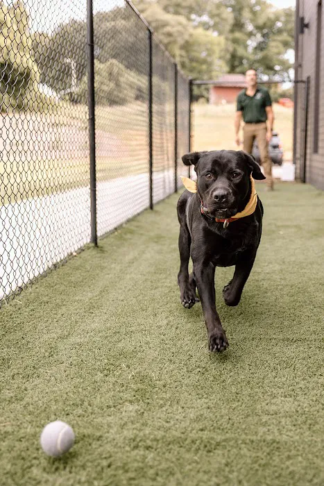 Southern Trail Animal Clinic Picture 5