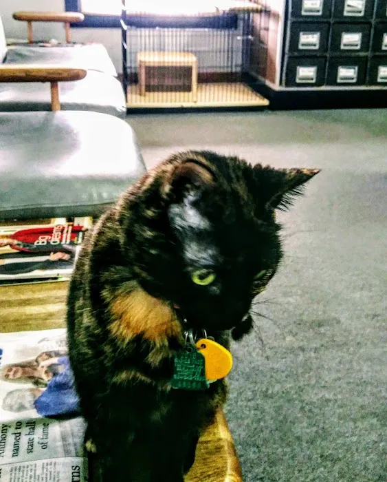 Foothills Animal Hospital Picture 2