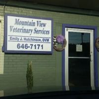 Mountain View Veterinary Services ico