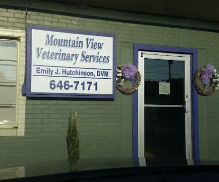 Mountain View Veterinary Services