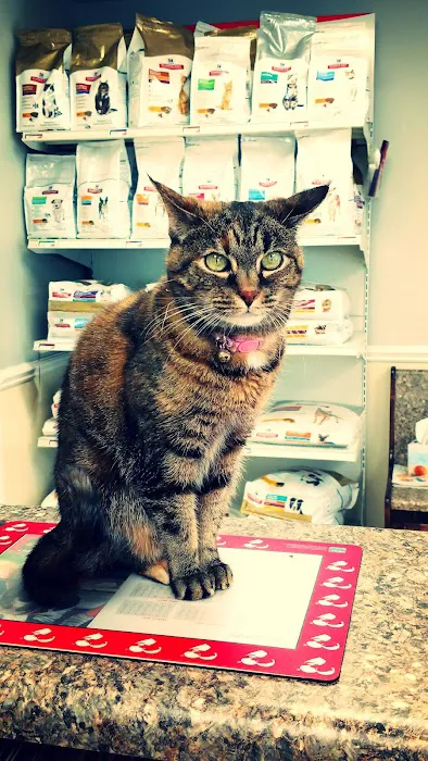 Magley Clemson Animal Hospital Picture 9