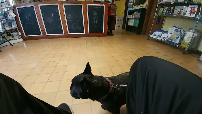 Pet-Vac Animal Hospital Picture 9