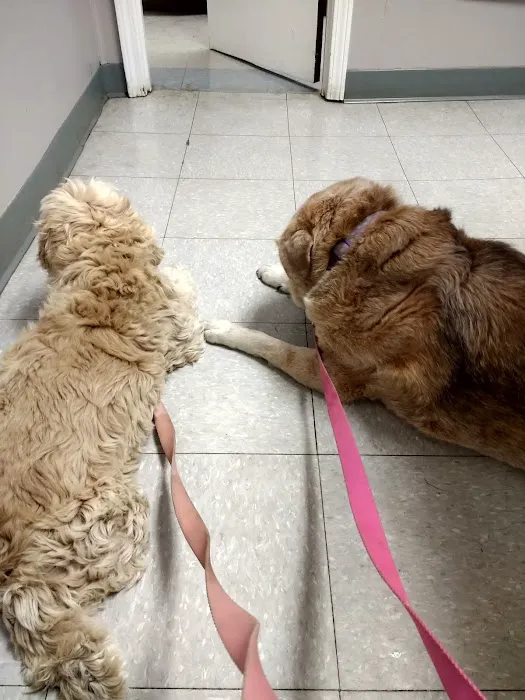 Pet-Vac Animal Hospital Picture 4