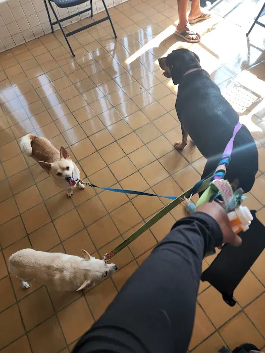 Pet-Vac Animal Hospital Picture 8