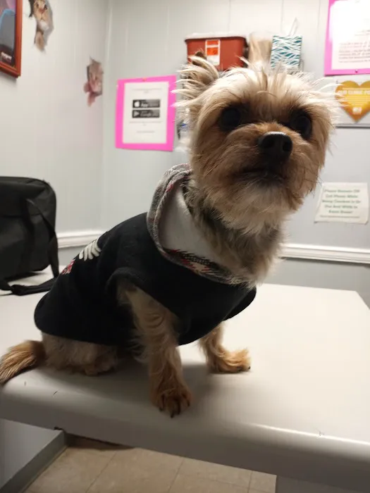 Pet-Vac Animal Hospital Picture 3