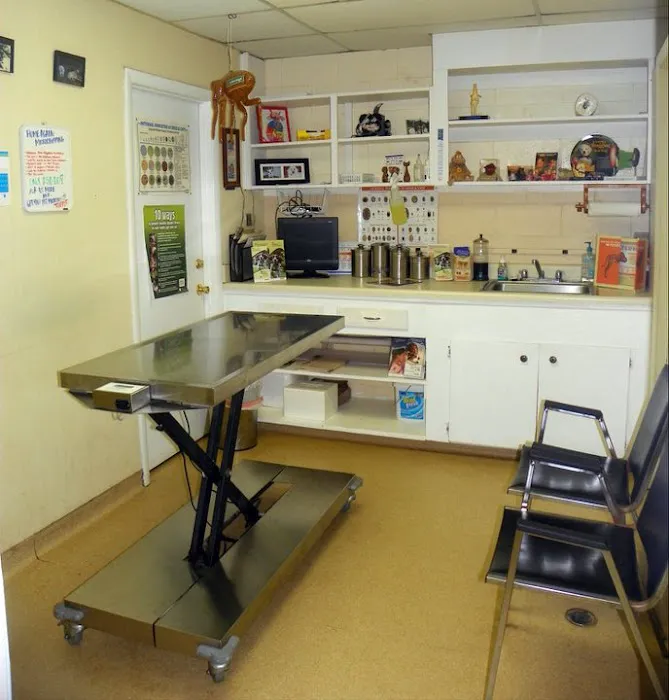 Battle Animal Care Clinic Picture 7